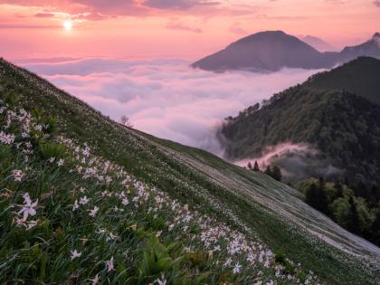 alba-sulle-pendici-fiorite