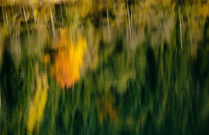 riflessi d'autunno