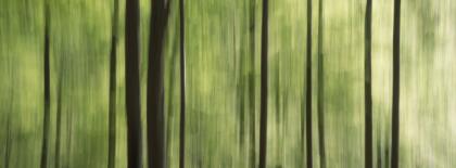 composizione-verticale