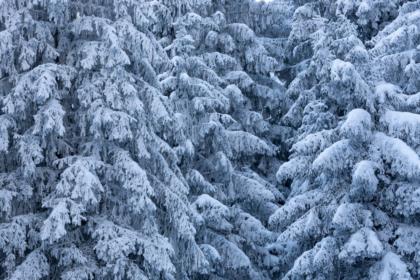 l' inverno