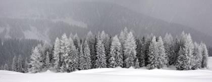 Nella-neve