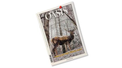 Oasis - 2018-FVG
