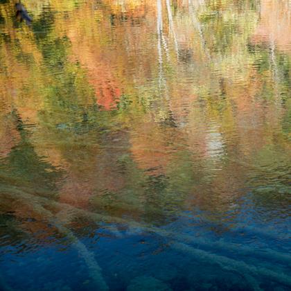 riflessi