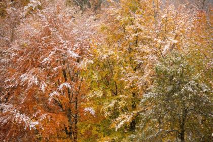 spruzzata-di-neve